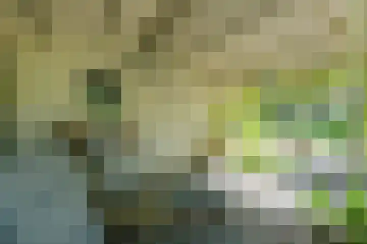 Ree 26 Huizen thumbnail 40