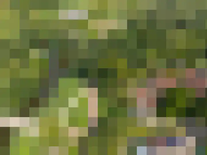 Ree 26 Huizen thumbnail 41
