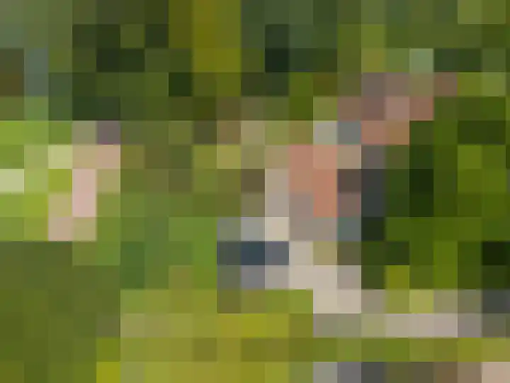 Ree 26 Huizen thumbnail 42