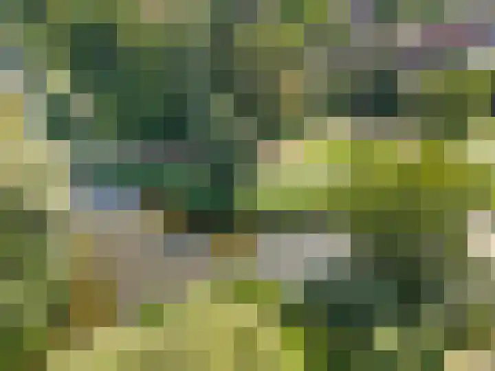 Ree 26 Huizen thumbnail 43