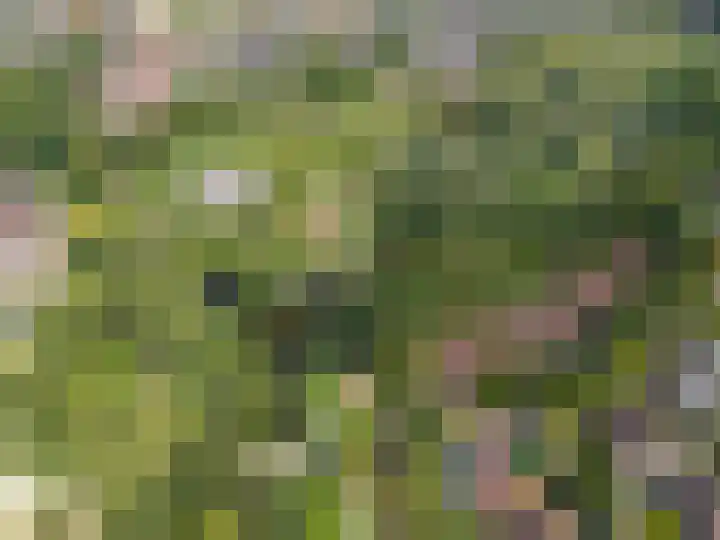 Ree 26 Huizen thumbnail 44