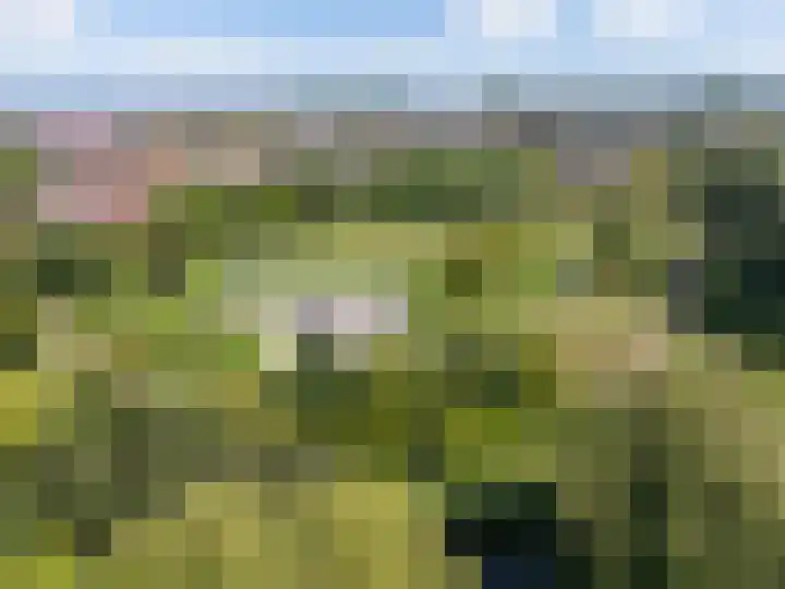 Ree 26 Huizen thumbnail 45
