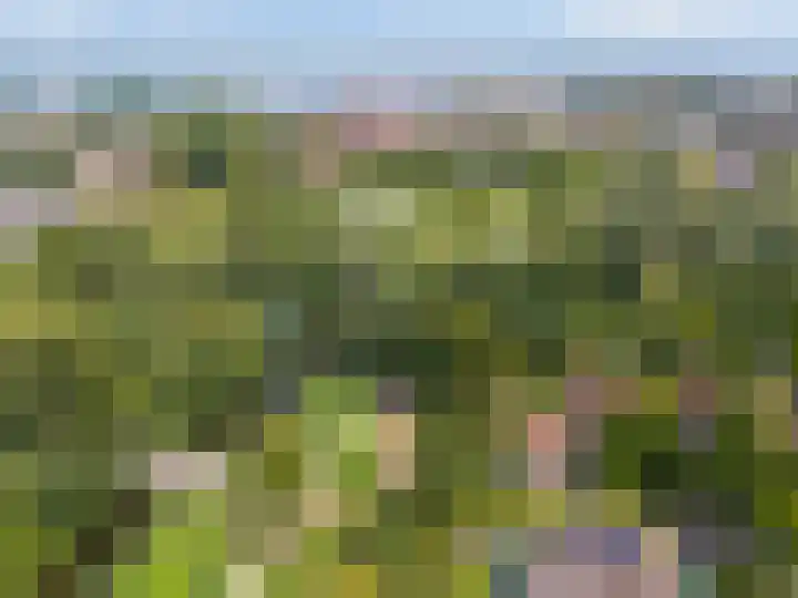 Ree 26 Huizen thumbnail 47