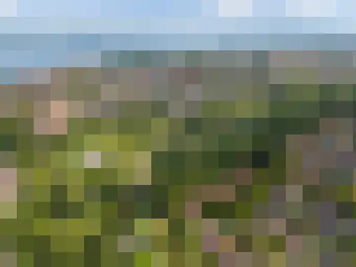 Ree 26 Huizen thumbnail 48