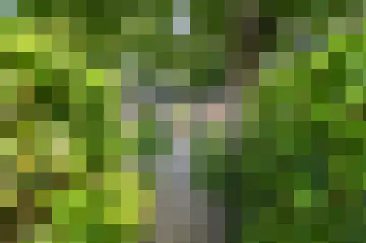 Ree 26 Huizen thumbnail 5