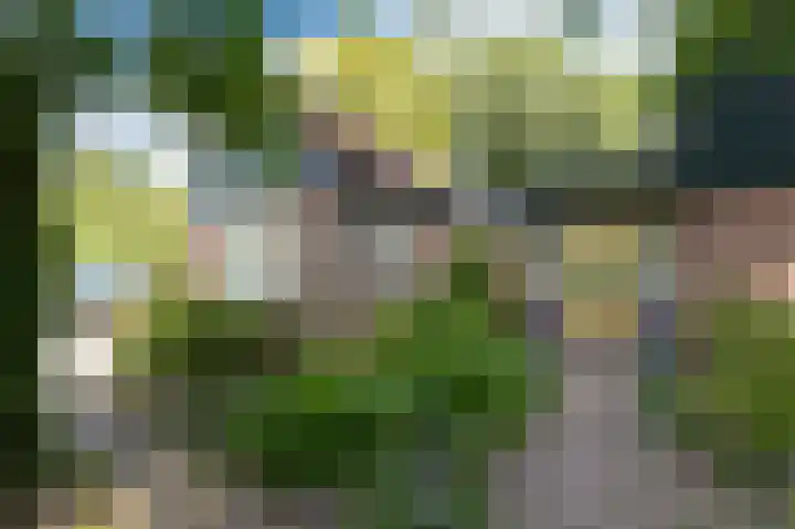 Ree 26 Huizen thumbnail 6