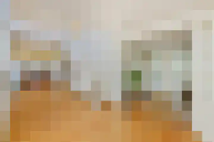 Ree 26 Huizen thumbnail 8