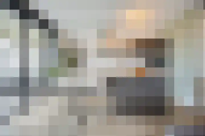 Ree 38 Veldhoven thumbnail 10
