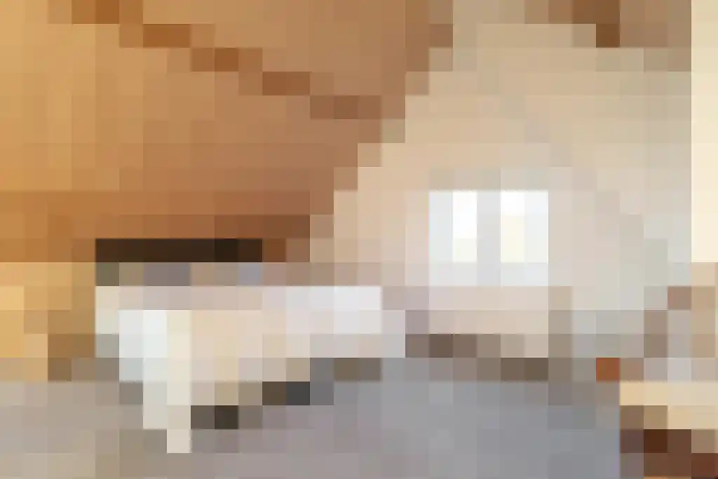 Ree 62 Reeuwijk thumbnail 23