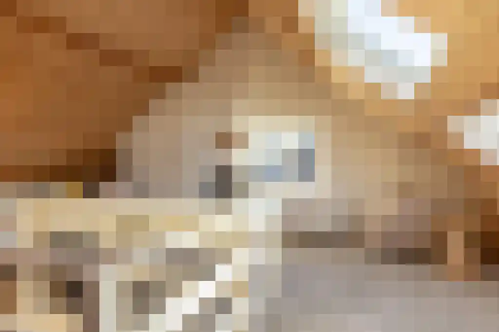 Ree 62 Reeuwijk thumbnail 28
