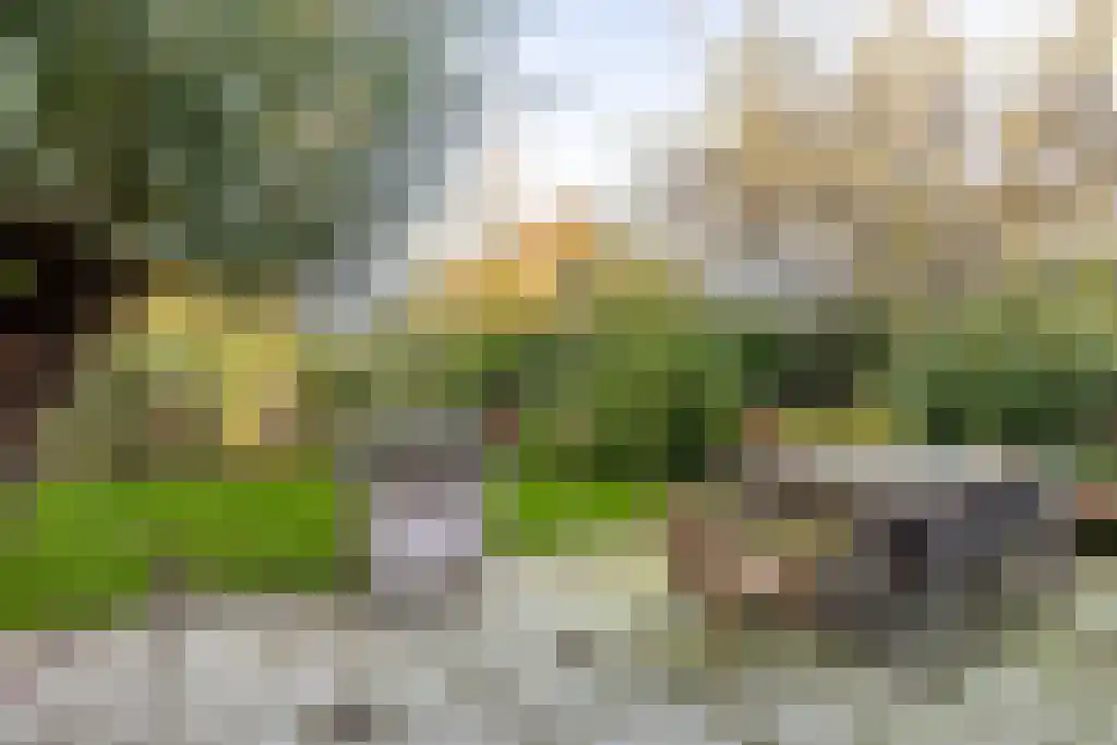 Ree 62 Reeuwijk thumbnail 32
