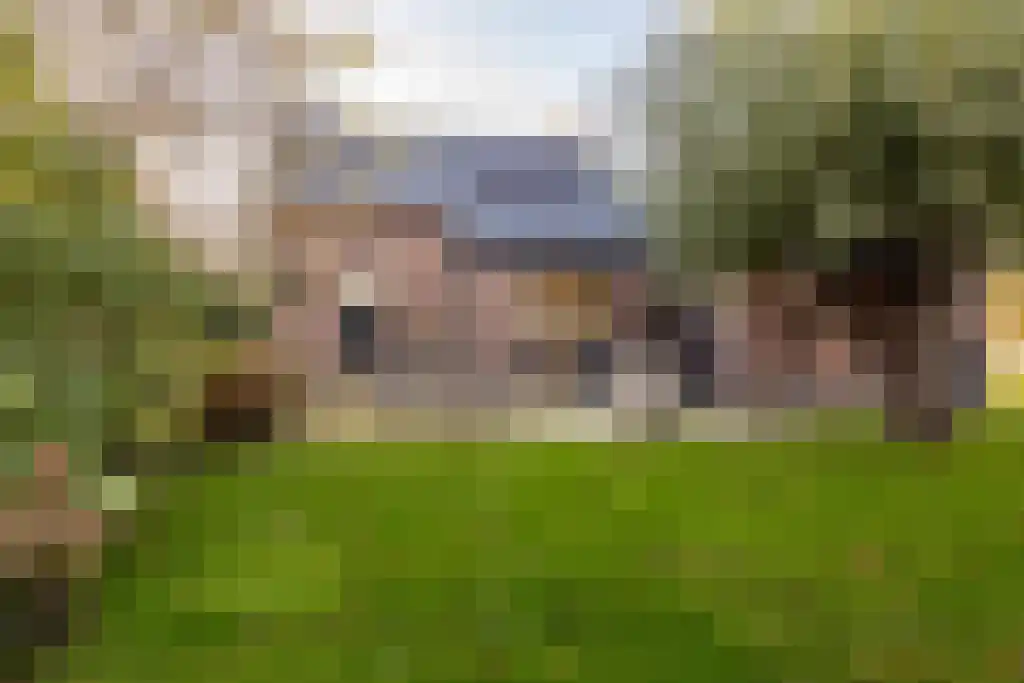 Ree 62 Reeuwijk thumbnail 33