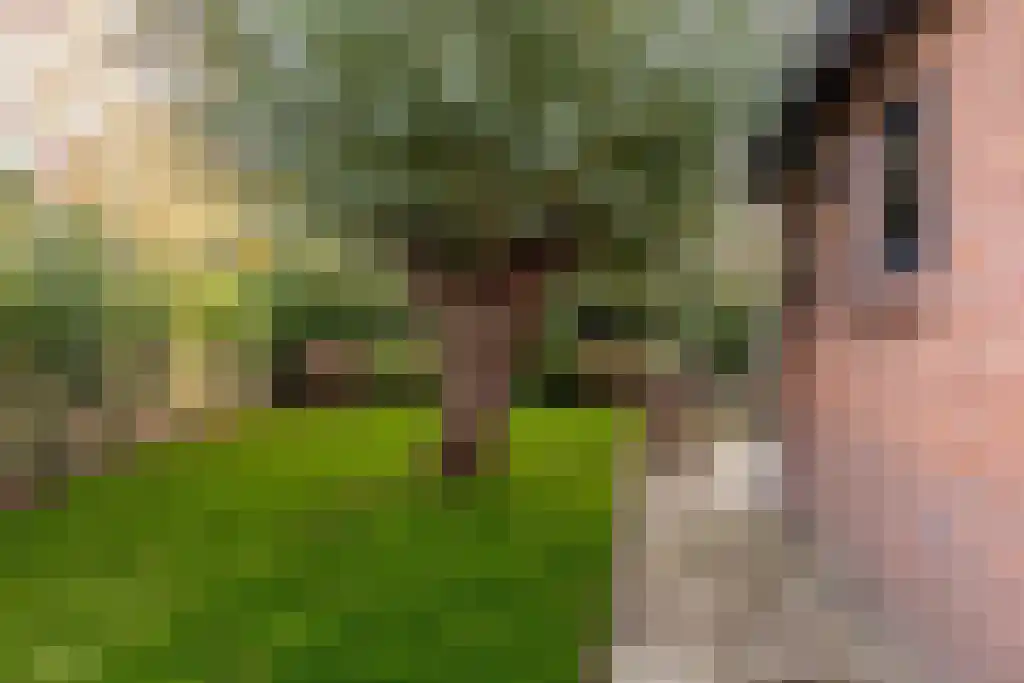 Ree 62 Reeuwijk thumbnail 34