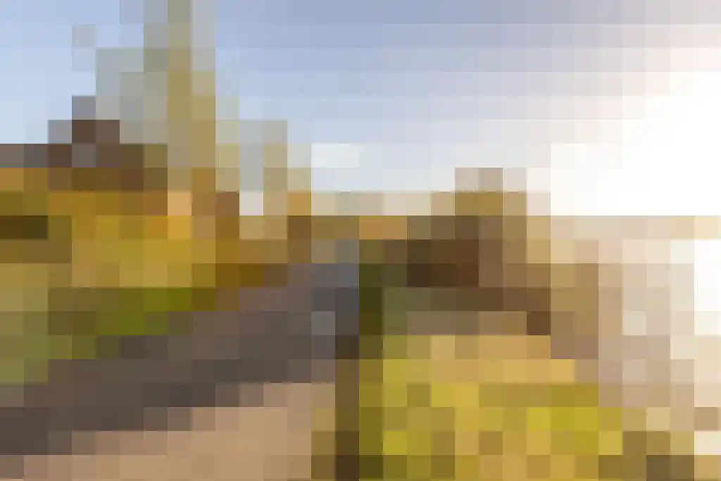 Ree 62 Reeuwijk thumbnail 41