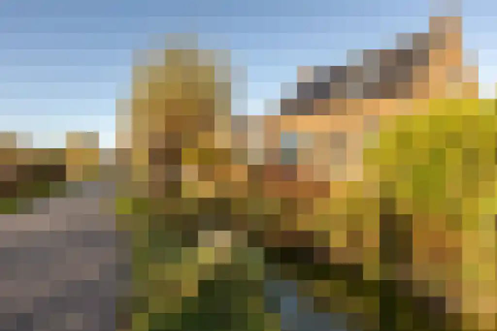 Ree 62 Reeuwijk thumbnail 44