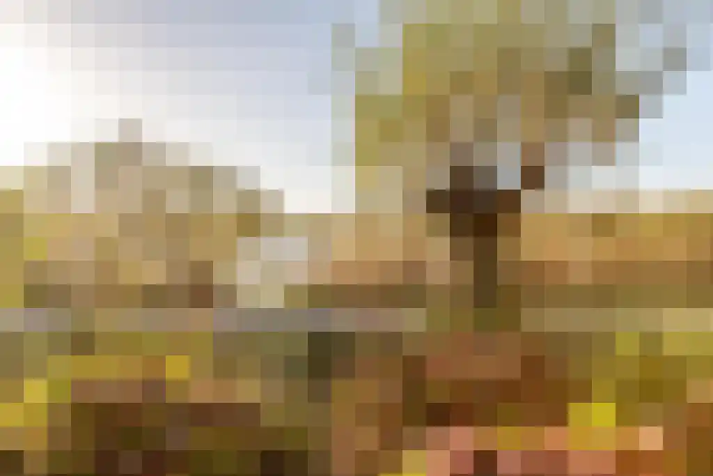 Ree 62 Reeuwijk thumbnail 5
