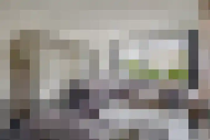 Reede 18 Brielle thumbnail 11