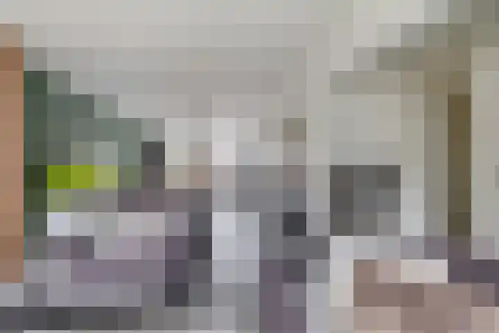 Reede 18 Brielle thumbnail 13