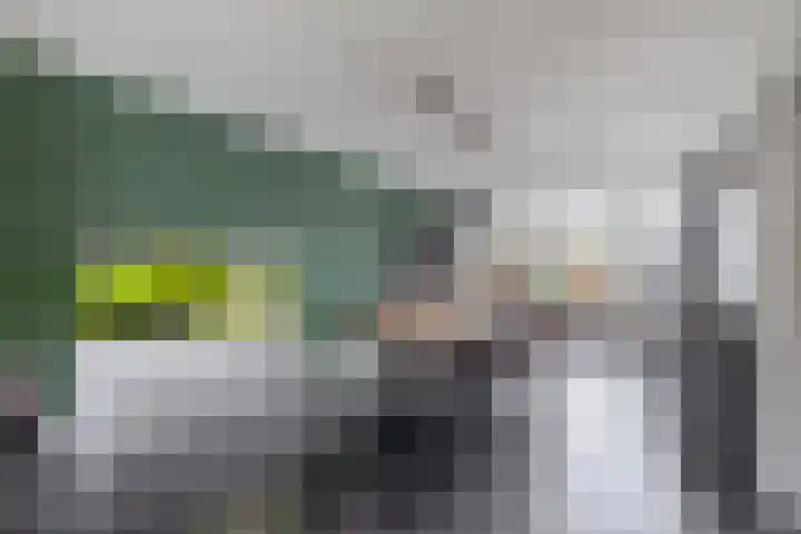 Reede 18 Brielle thumbnail 15