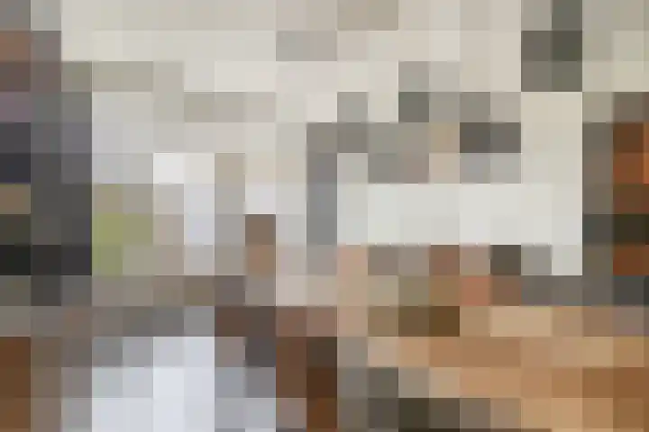 Reede 18 Brielle thumbnail 19