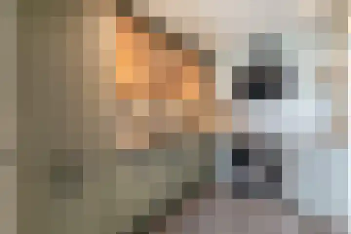Reede 18 Brielle thumbnail 21