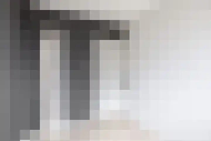 Reede 18 Brielle thumbnail 30