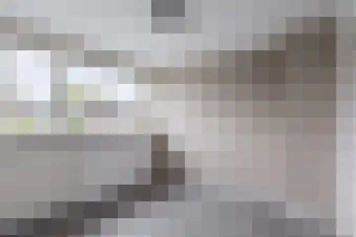 Reede 18 Brielle thumbnail 31