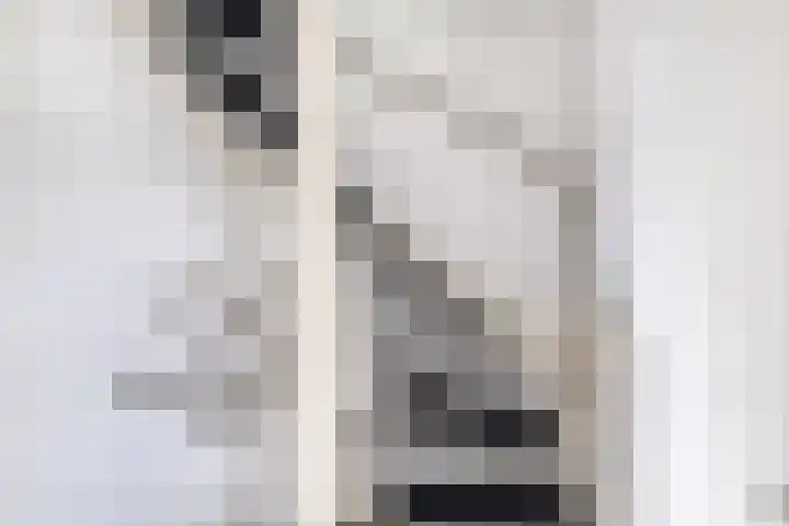 Reede 18 Brielle thumbnail 36