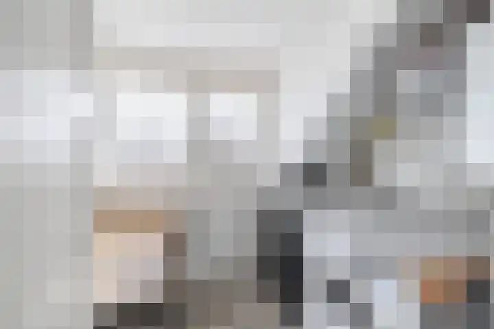 Reede 18 Brielle thumbnail 38