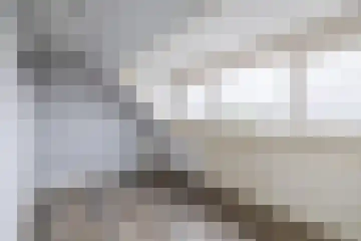 Reede 18 Brielle thumbnail 39