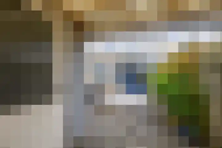 Reede 18 Brielle thumbnail 43