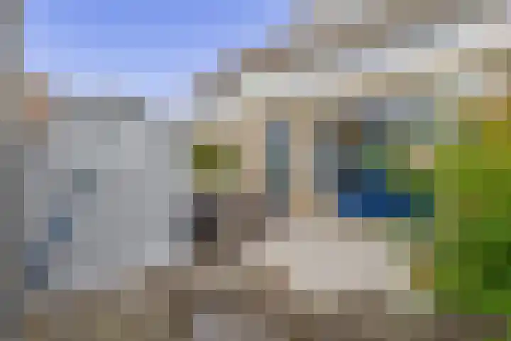 Reede 18 Brielle thumbnail 44