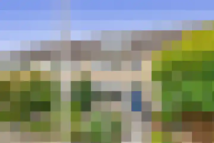 Reede 18 Brielle thumbnail 49
