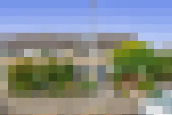 Reede 18 Brielle thumbnail 50