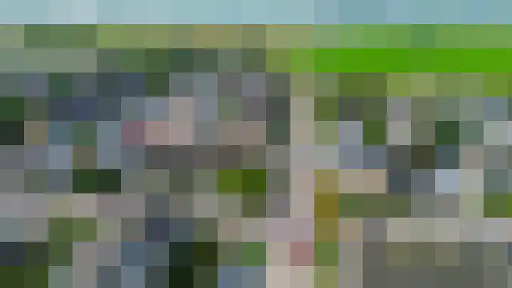 Reede 18 Brielle thumbnail 53