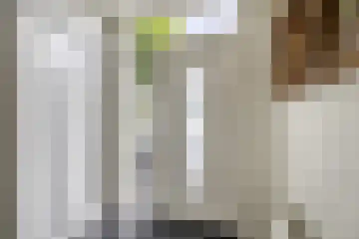 Reede 18 Brielle thumbnail 6