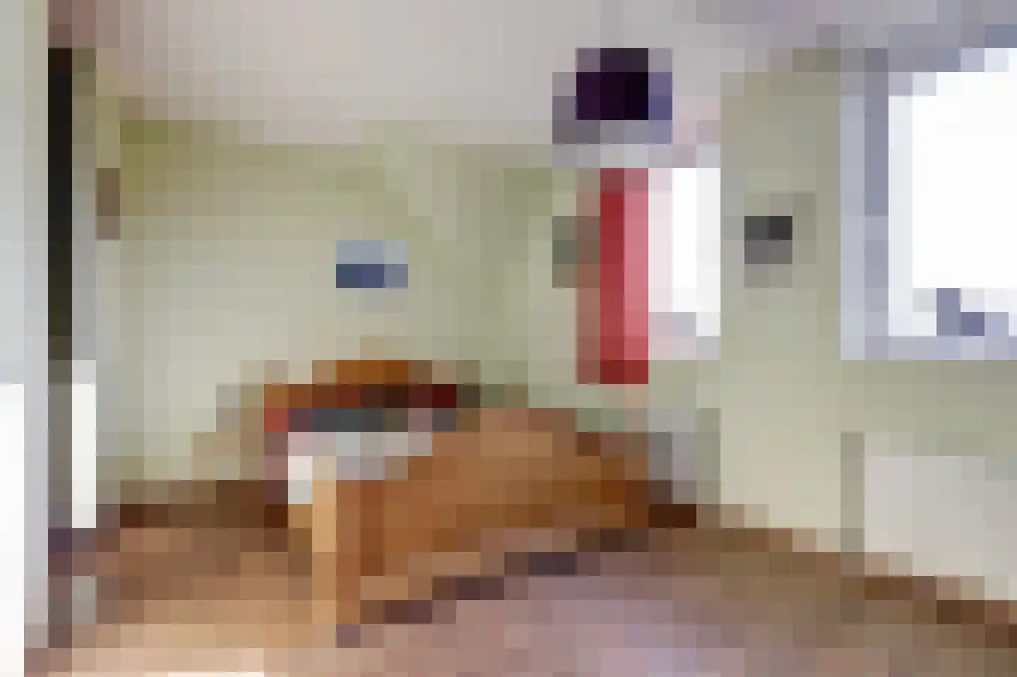 Reedulf 9 Kortgene thumbnail 17