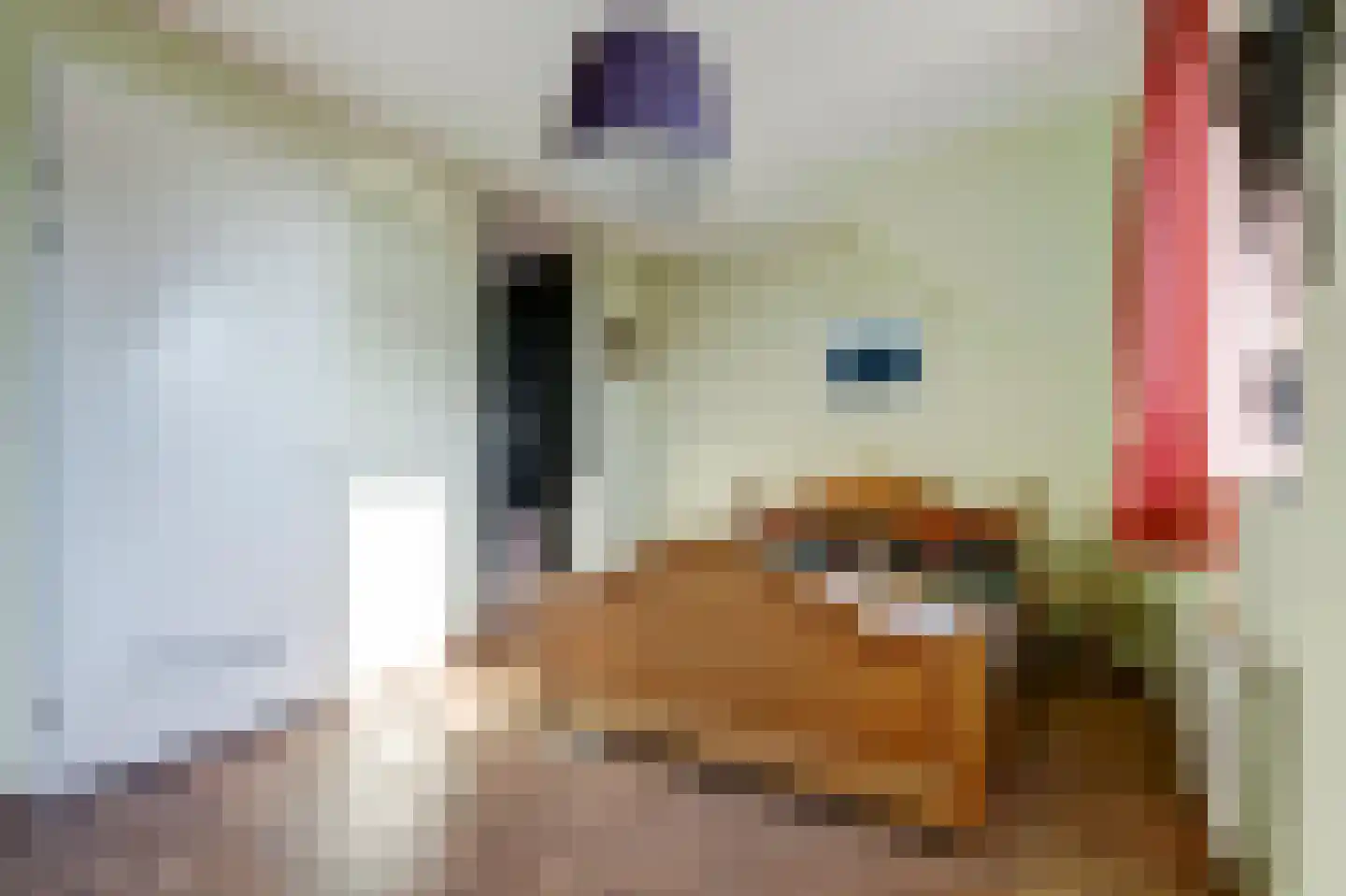 Reedulf 9 Kortgene thumbnail 18