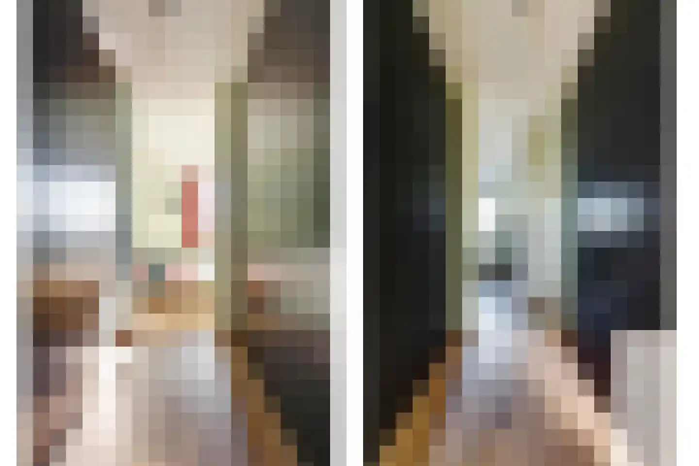 Reedulf 9 Kortgene thumbnail 20