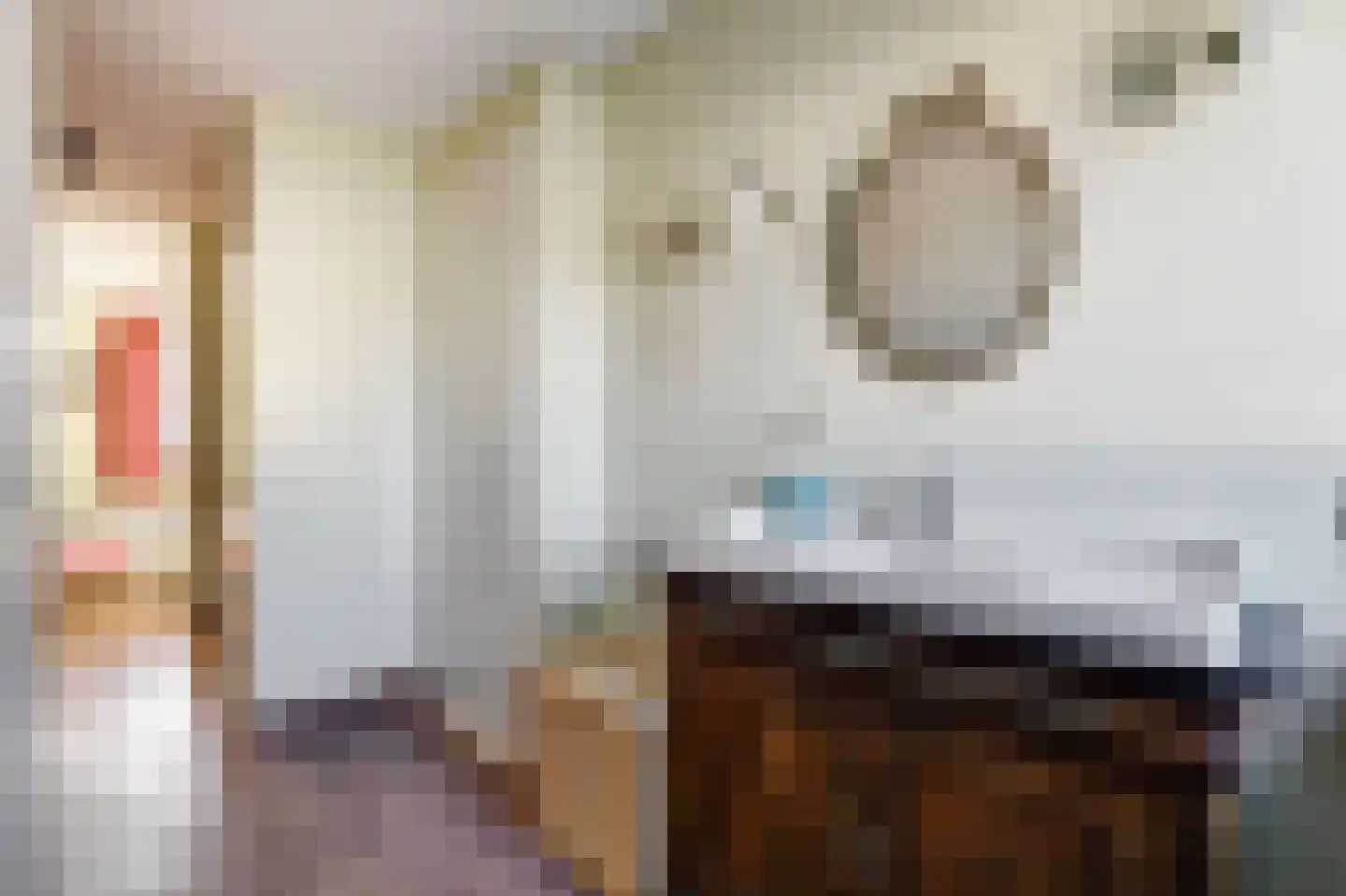 Reedulf 9 Kortgene thumbnail 24
