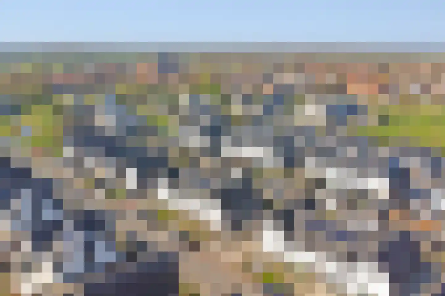 Reedulf 9 Kortgene thumbnail 33