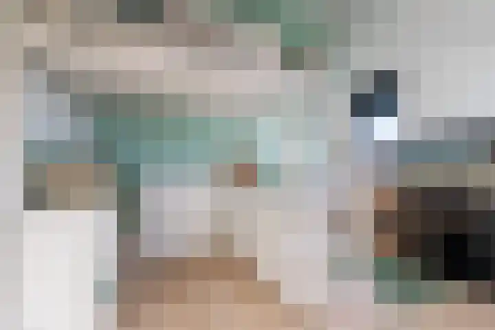 Reefakker 9 Arnhem thumbnail 31