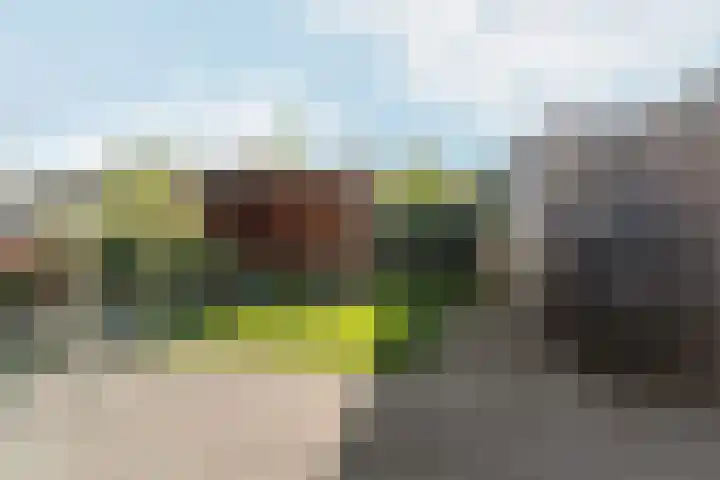Reefakker 9 Arnhem thumbnail 36