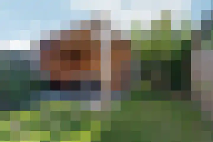 Reefakker 9 Arnhem thumbnail 38