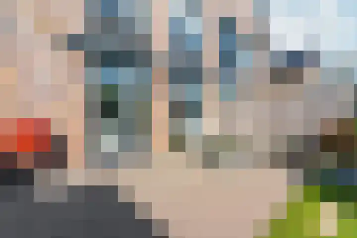 Reefakker 9 Arnhem thumbnail 41