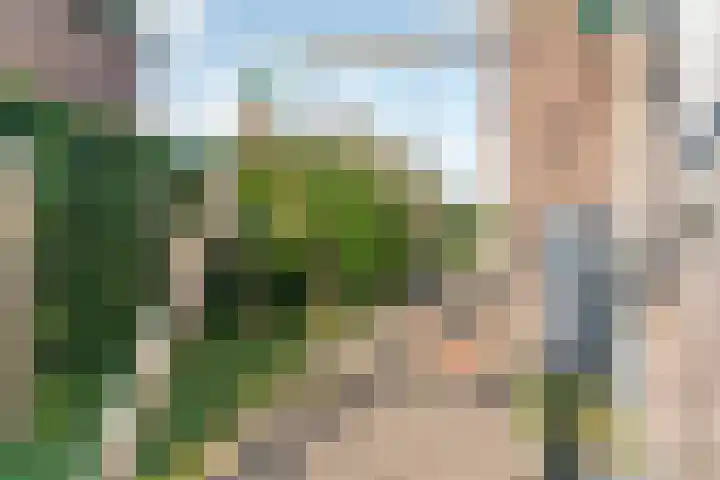Reefakker 9 Arnhem thumbnail 45