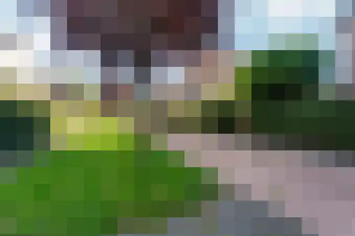 Reefakker 9 Arnhem thumbnail 52