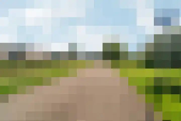 Reefakker 9 Arnhem thumbnail 53