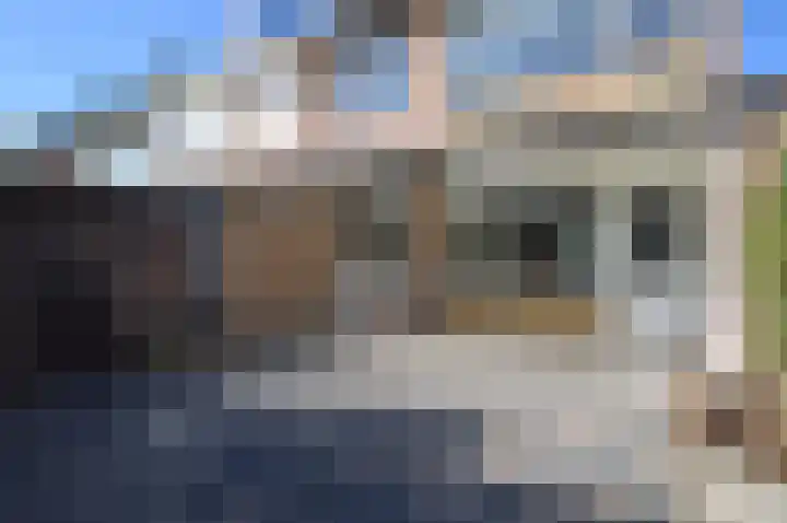 Reek 46 Deurne thumbnail 17