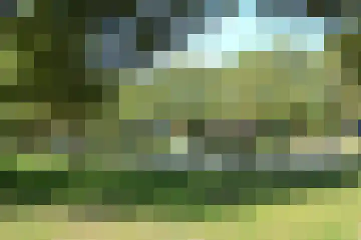 Reek 46 Deurne thumbnail 23